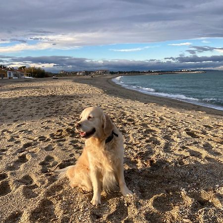 Chambre D'Hotes Villa Cote Vermeille Argelès-sur-Mer Dış mekan fotoğraf