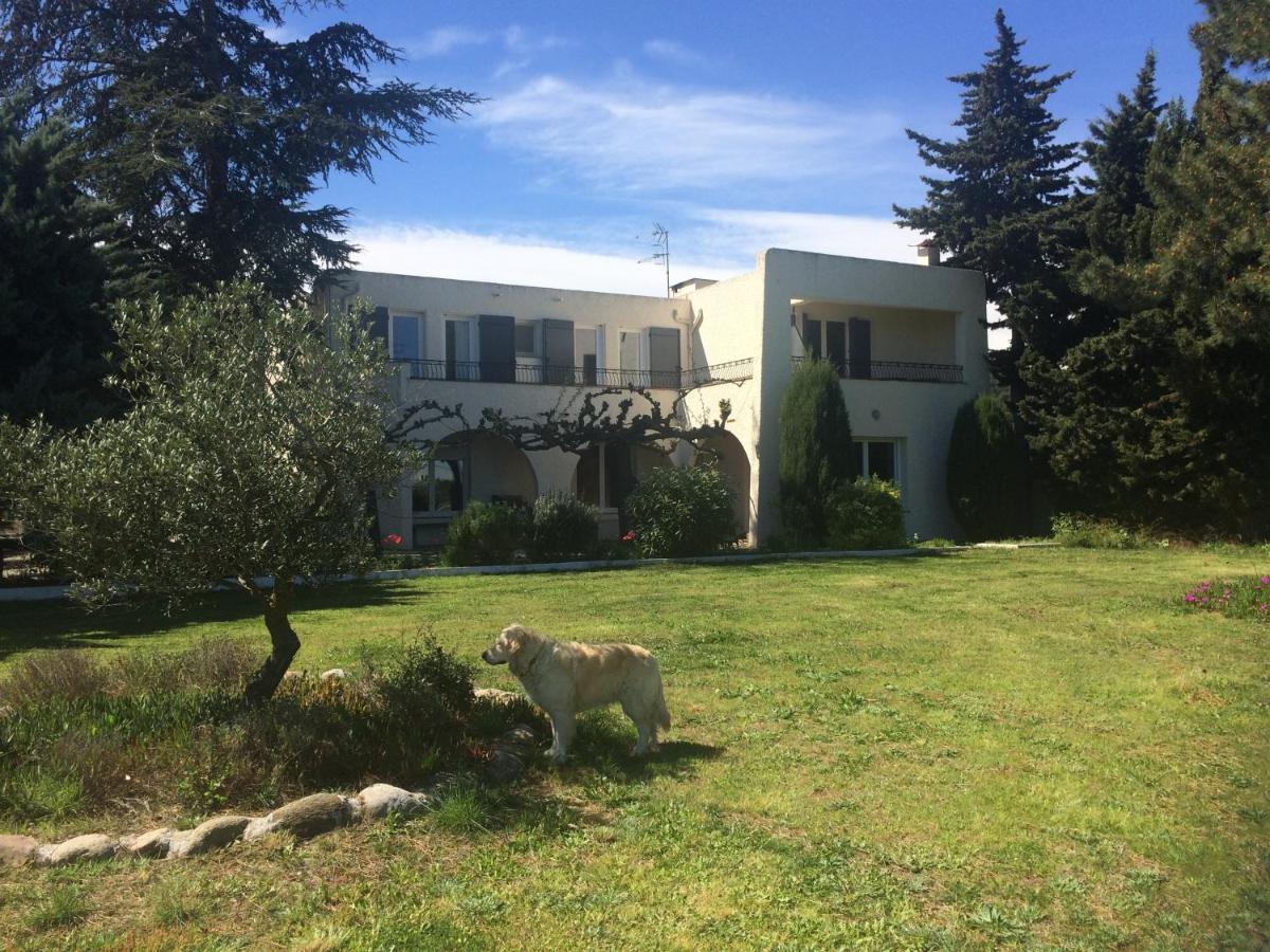 Chambre D'Hotes Villa Cote Vermeille Argelès-sur-Mer Dış mekan fotoğraf